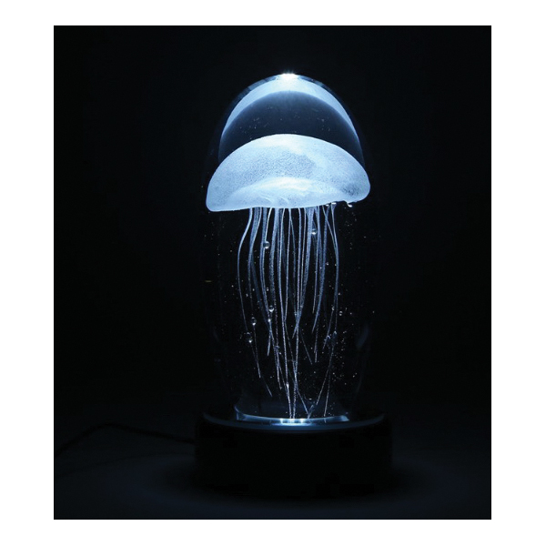 Dynasty Gallery PWL6C Series Light Base, 4 in W Dimensions, LED Lamp - 5