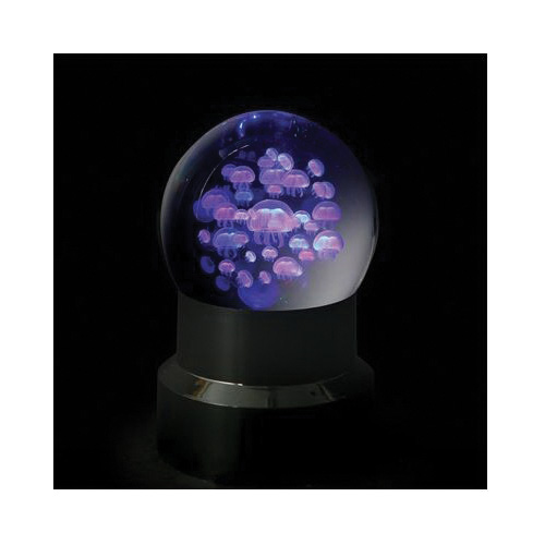 Dynasty Gallery 51204S Moon Jellyfish, Glass - 2