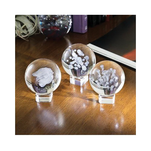 Dynasty Gallery 51204S Moon Jellyfish, Glass - 4