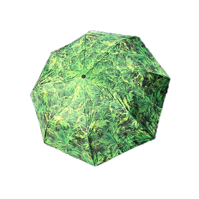 La Selva Designs 10420