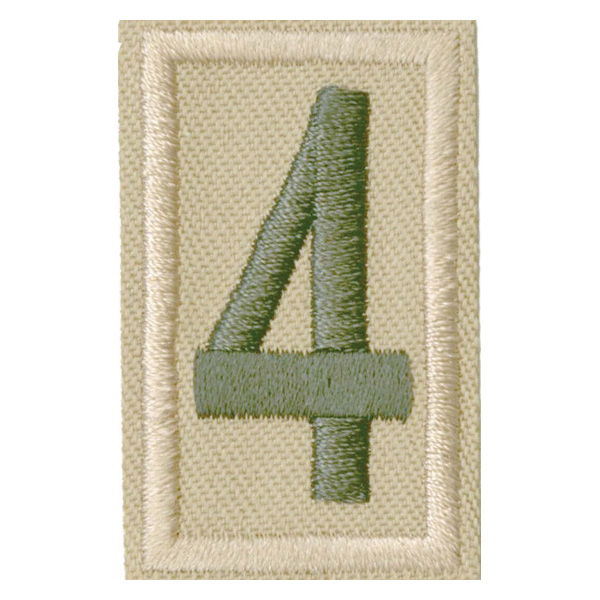 Boy Scouts Of America 18074