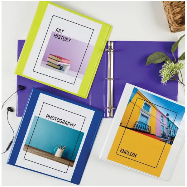 Avery 17028 View Binder, 1-1/2 in Ring, Slant Ring, 375 Sheet, Plastic, Assorted - 5