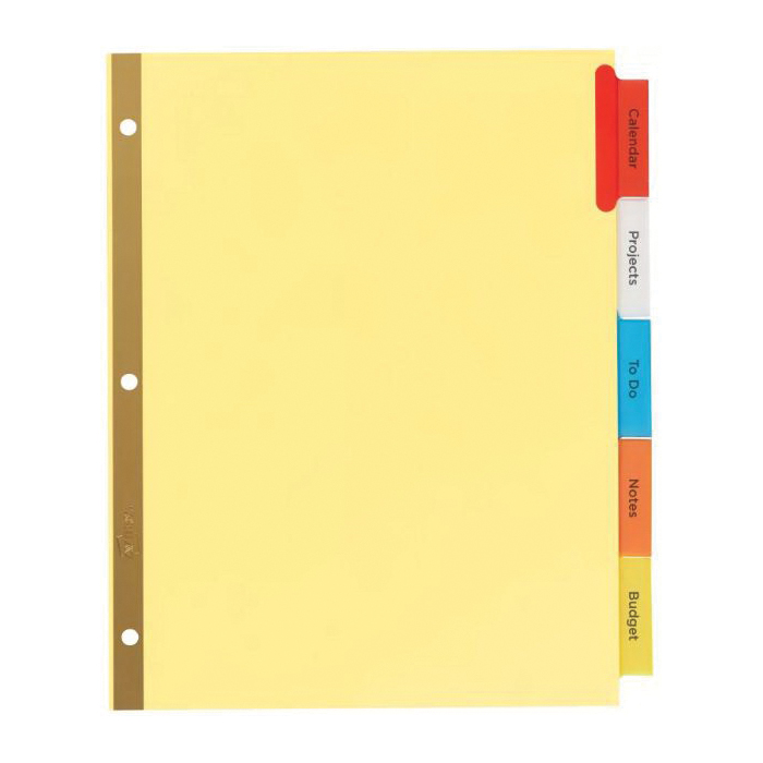 Avery 11109 Insertable Divider, 11 in L, 8-1/2 in W, Paper, Assorted - 2
