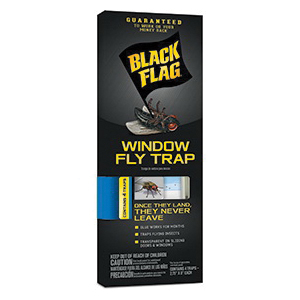 Black Flag HG-11018 Window Fly Trap, 4 Count - 2