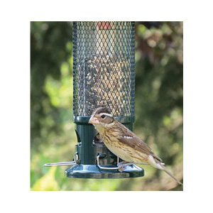 Squirrel Buster BD1082 Legacy Bird Feeder, 16 in H, 2.6 lb, Metal/Plastic/Resin - 2