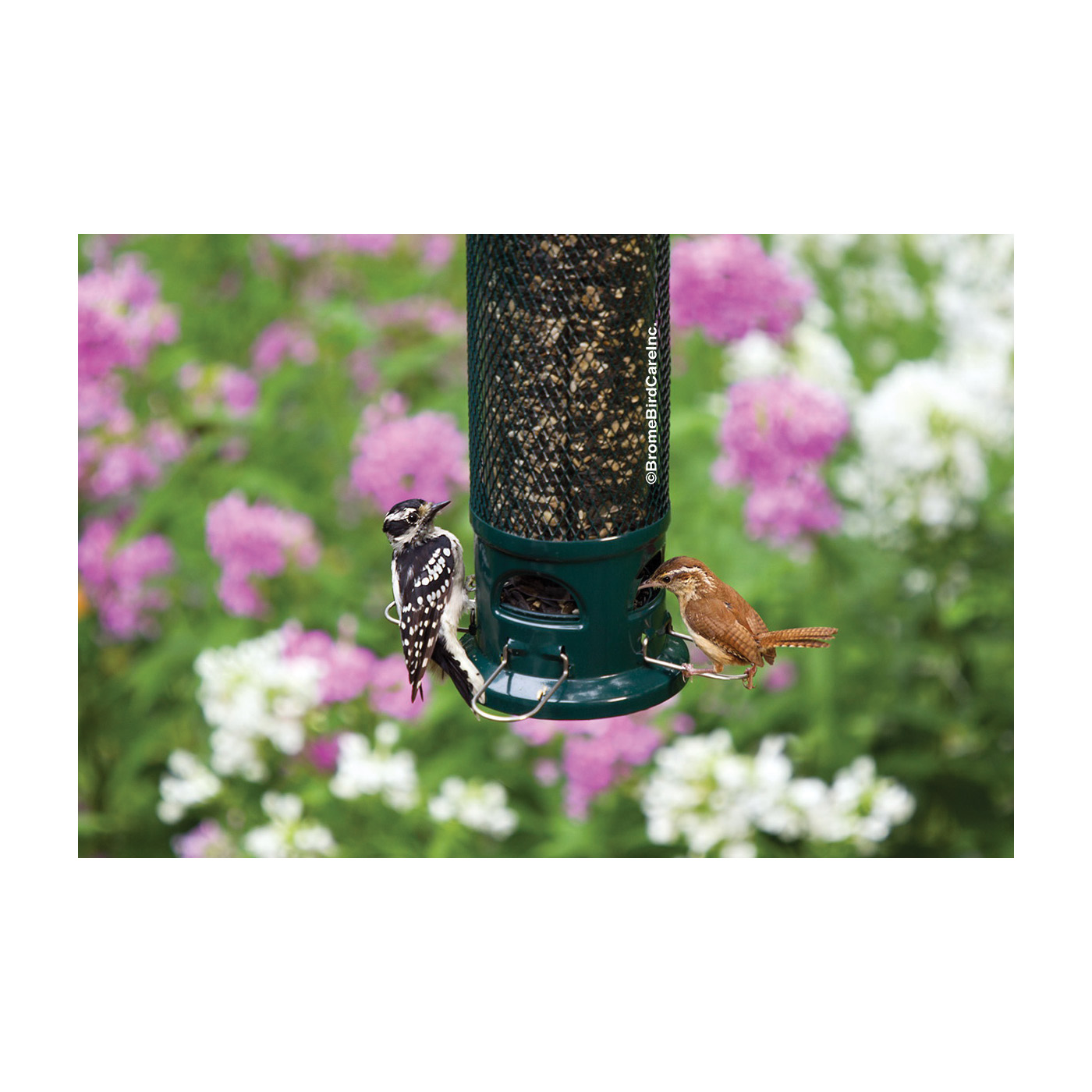 Squirrel Buster BD1082 Legacy Bird Feeder, 16 in H, 2.6 lb, Metal/Plastic/Resin - 3