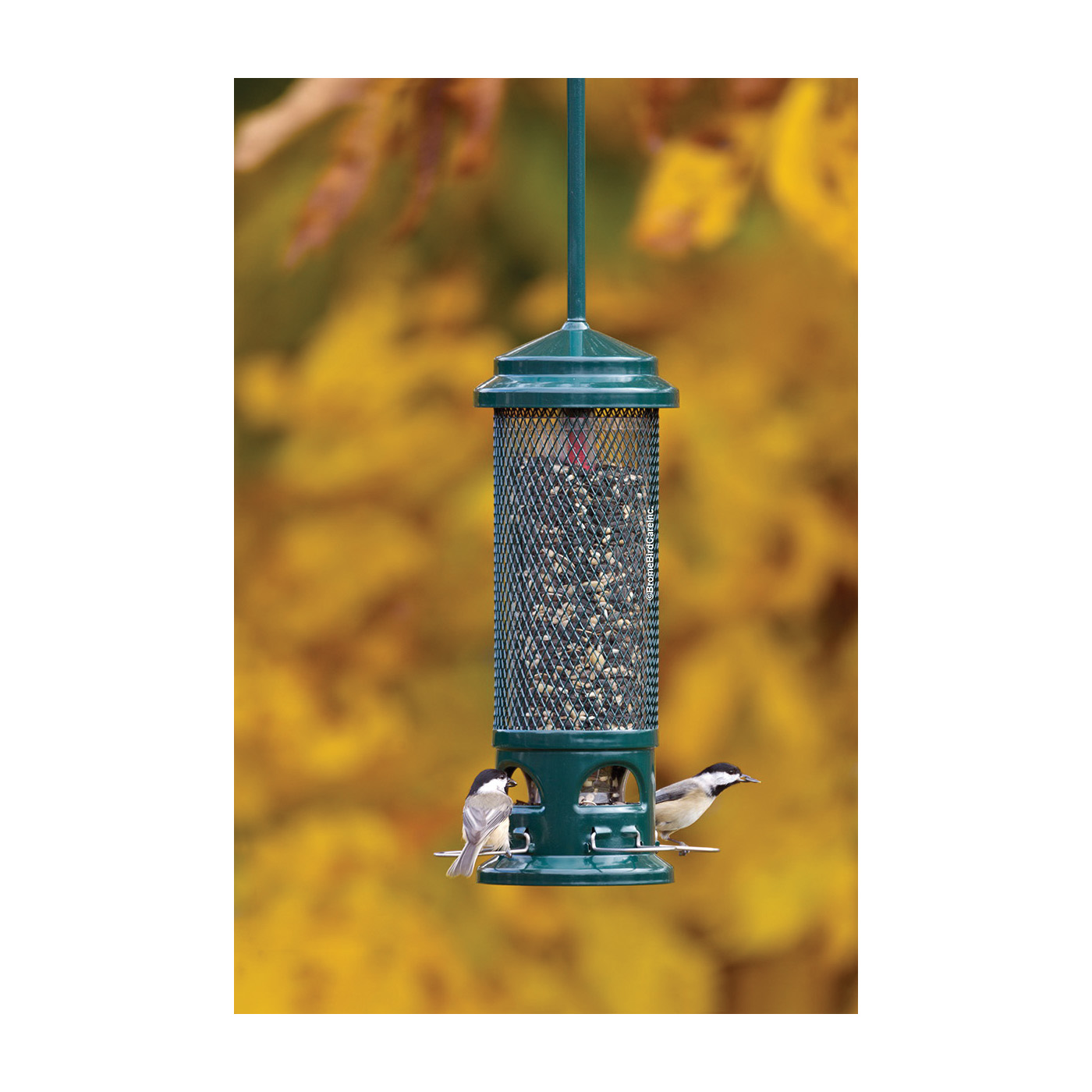 Squirrel Buster BD1082 Legacy Bird Feeder, 16 in H, 2.6 lb, Metal/Plastic/Resin - 4