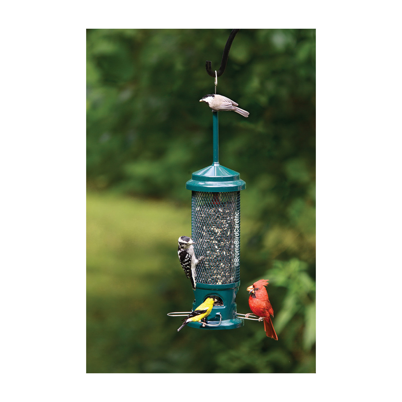 Squirrel Buster BD1082 Legacy Bird Feeder, 16 in H, 2.6 lb, Metal/Plastic/Resin - 5