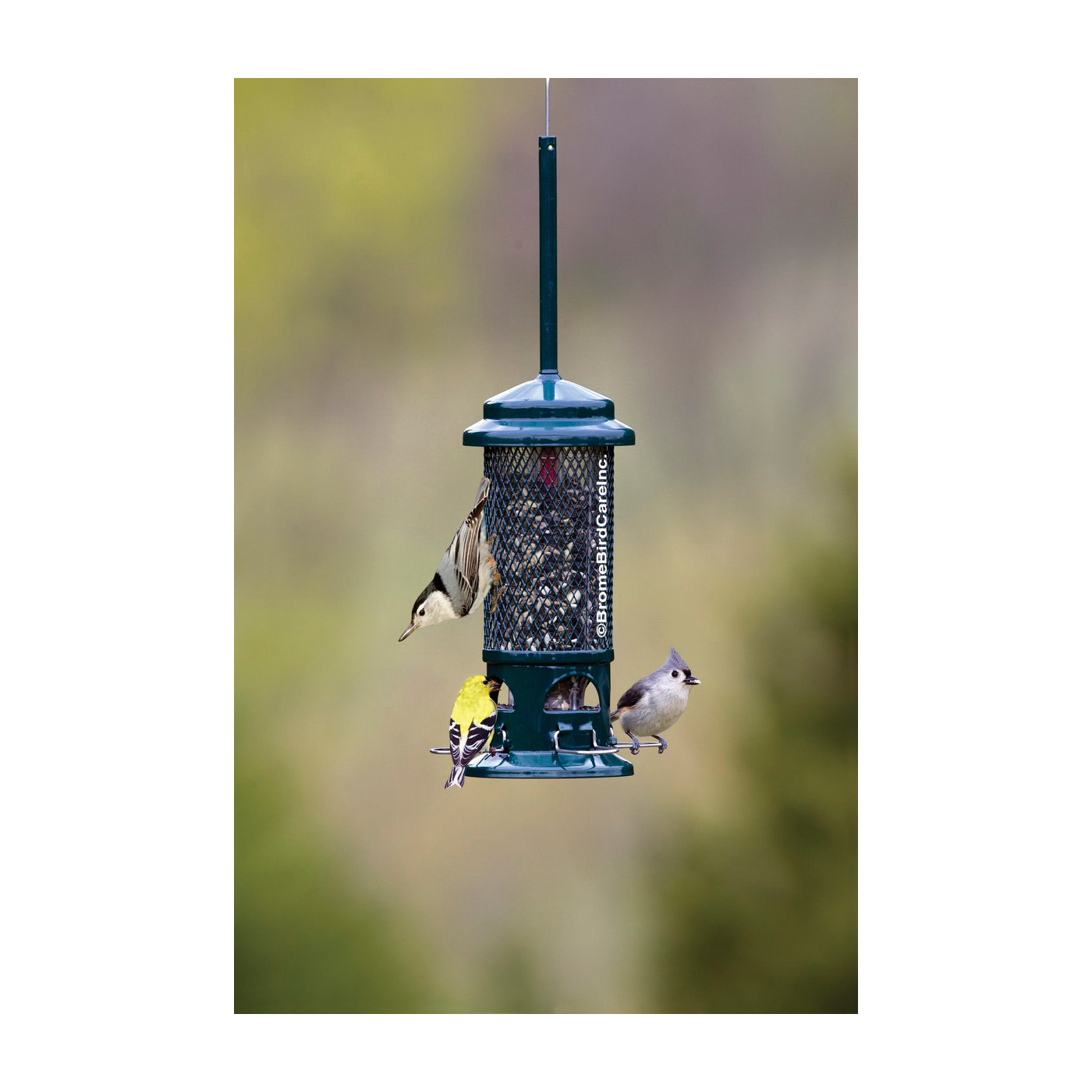 Squirrel Buster BD1057 Standard Bird Feeder, 13-1/4 in H, 1.3 lb, Metal/Plastic/Resin - 3