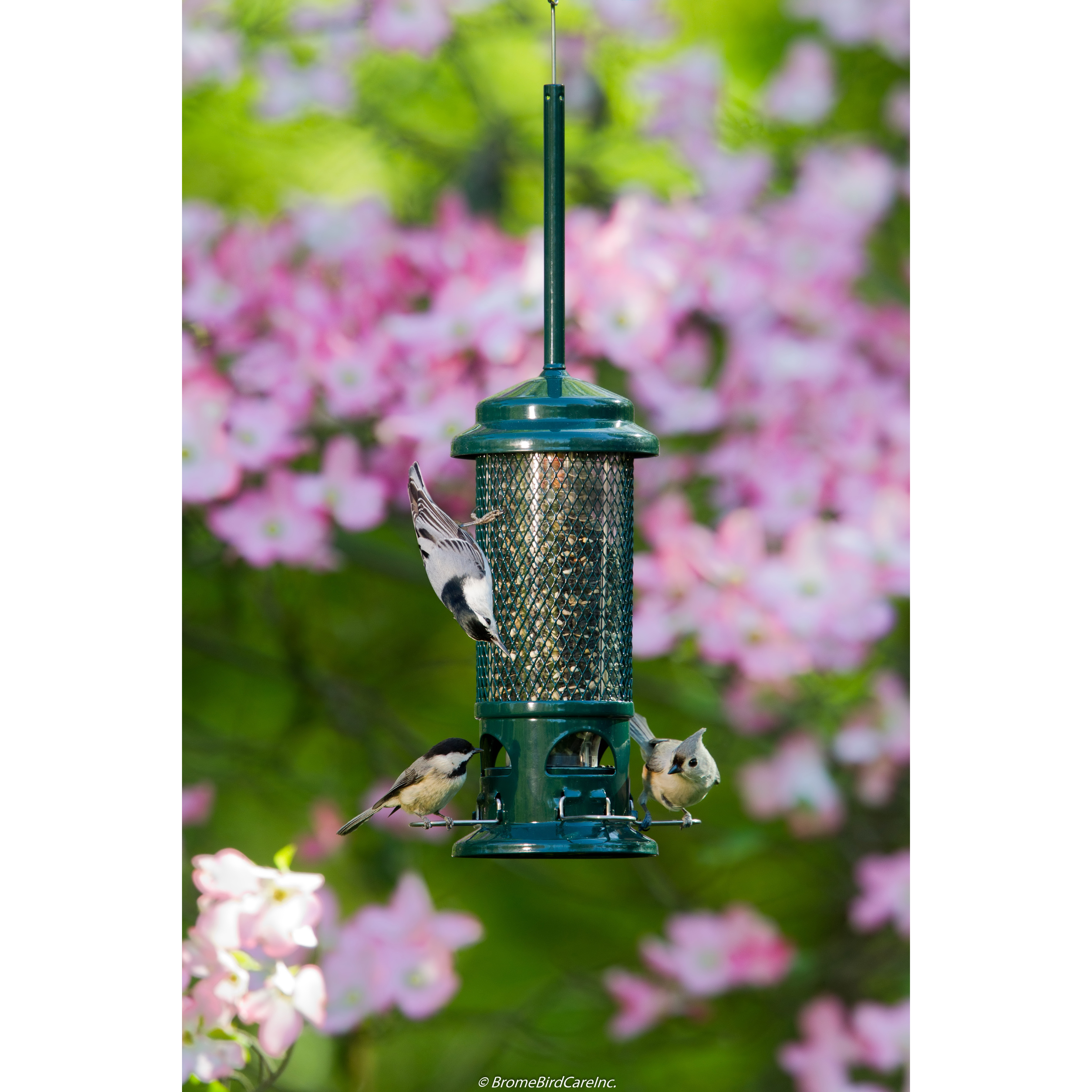 Squirrel Buster BD1057 Standard Bird Feeder, 13-1/4 in H, 1.3 lb, Metal/Plastic/Resin - 4