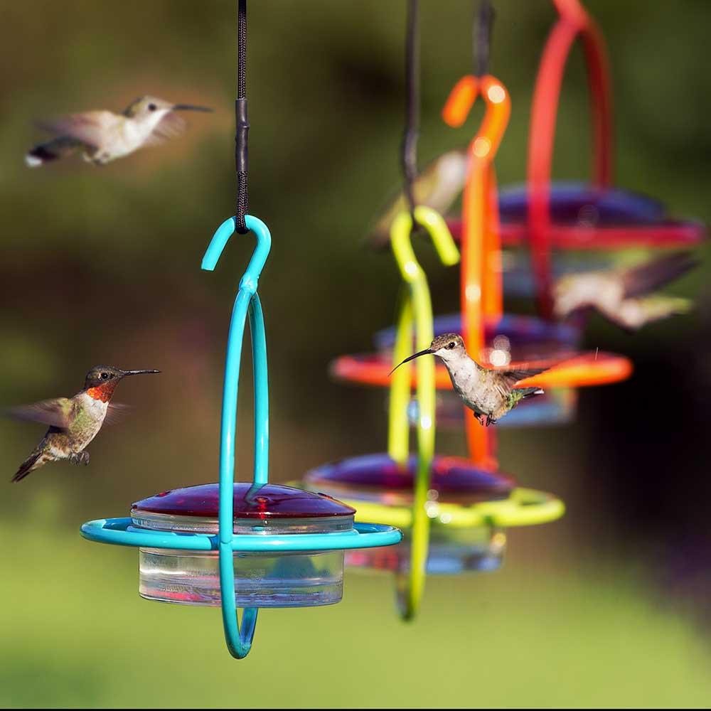 Couronne 047-301 R Bird Feeder, 3.4 oz, 4-Port/Perch, Glass/Metal, Red, 7-1/4 in H - 2