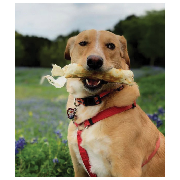 Earth Animal No Hide 138 Wholesome Dog Chew, Peanut Butter, L, 3.5 oz - 2