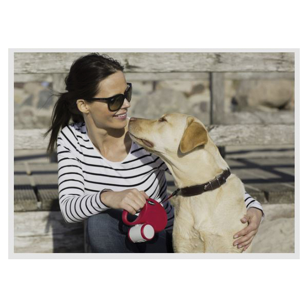 Flexi New Classic CL30T5.250.R Tape Dog Leash, 16 ft L, Red, Fastening Method: Snap Hook, L Breed - 1