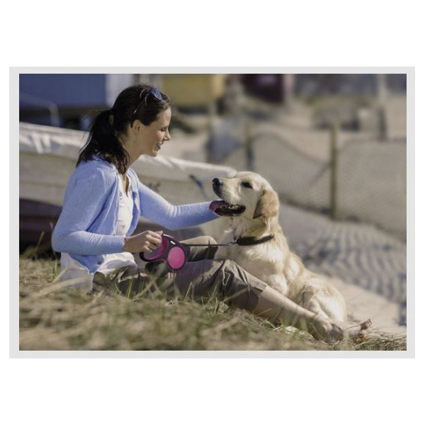 Flexi New Comfort CF10T5.250.GR Tape Dog Leash, 16 ft L, Gray, Fastening Method: Snap Hook, S Breed - 2
