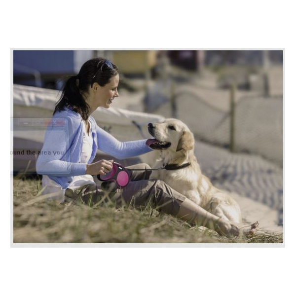 Flexi New Comfort CF00T3.250.GR Tape Dog Leash, 10 ft L, Gray, Fastening Method: Snap Hook, XS Breed - 2