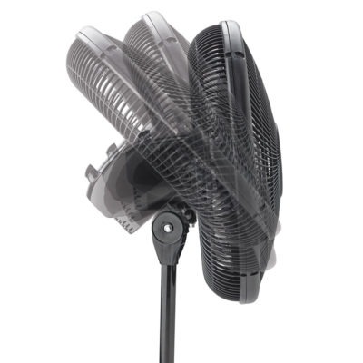 Lasko 2521 Oscillating Stand Fan, 120 V, 16 in Dia Blade, Plastic Housing Material, Black - 2