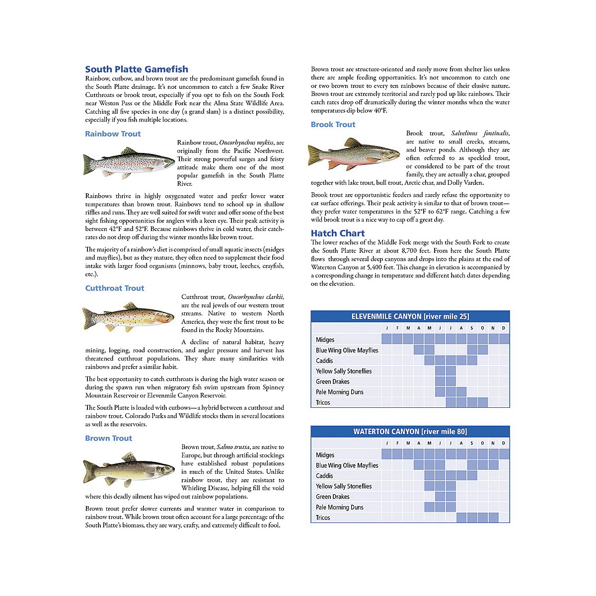 National Geographic TI00002302 Fishing and River Map, Elevenmile Canyon Reservoir to South Platte River - 2