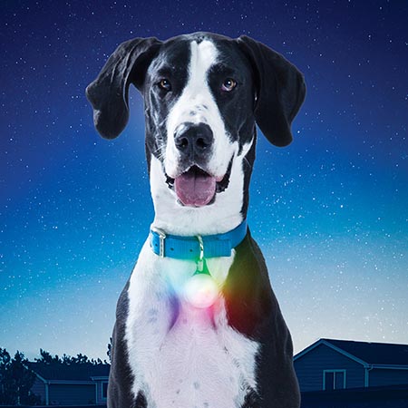 Nite Ize SpotLit PSLGR-07S-R6 LED Collar Light, Plastic - 4