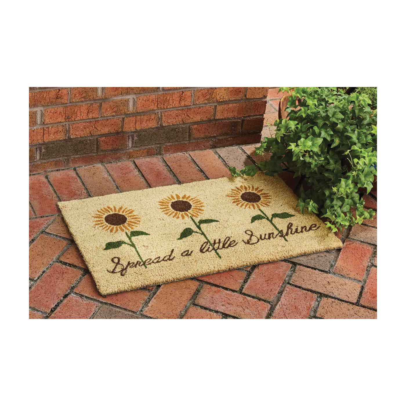 Park Designs 448-27 Series Door Mat, Spread Sunshine, 18 in L, 30 in W - 2
