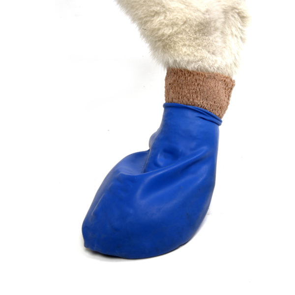 PawZ PPMEDIUM Dog Boots, M, Natural Rubber - 4