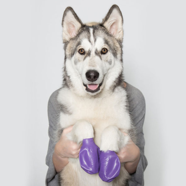 PawZ PPLARGE Dog Boots, L, Natural Rubber - 2