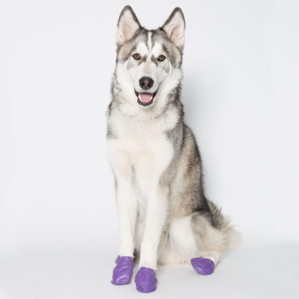 PawZ PPLARGE Dog Boots, L, Natural Rubber - 3