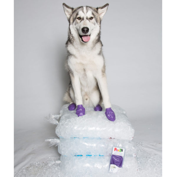 PawZ PPLARGE Dog Boots, L, Natural Rubber - 5