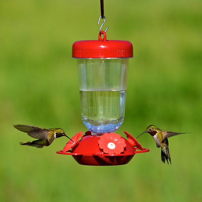Perky-Pet 135TF Bird Feeder, 16 oz, Nectar, 4-Port/Perch, Plastic, Clear/Red, 7.7 in H - 2