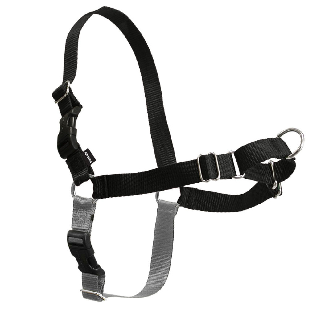 Petsafe EWH-HC-S