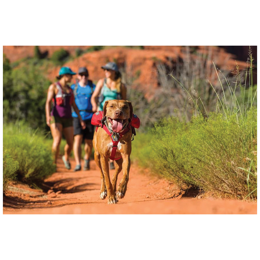 Ruffwear 50302-407M Dog Pack, M, Blue Dusk - 5