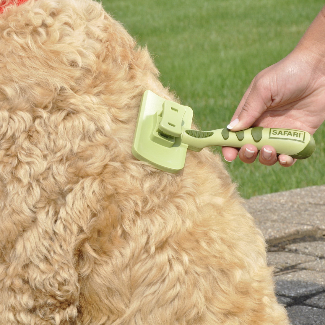 Safari W416 NCL00 Slicker Brush, Self-Cleaning, Stainless Steel, Dog - 4