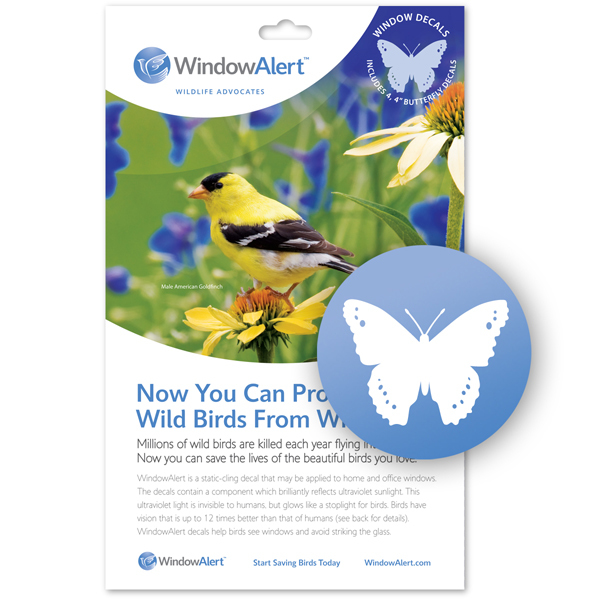 Windowalert WINDA3