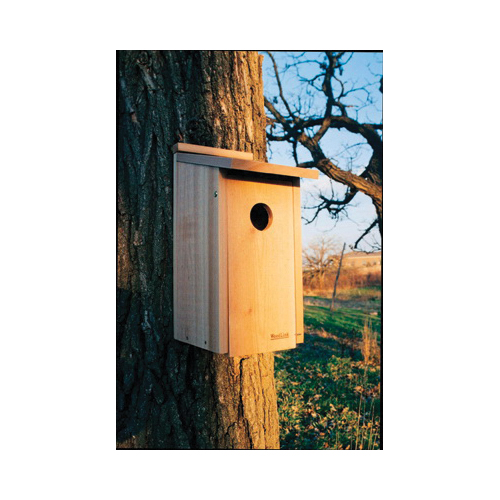 Woodlink FLICKER