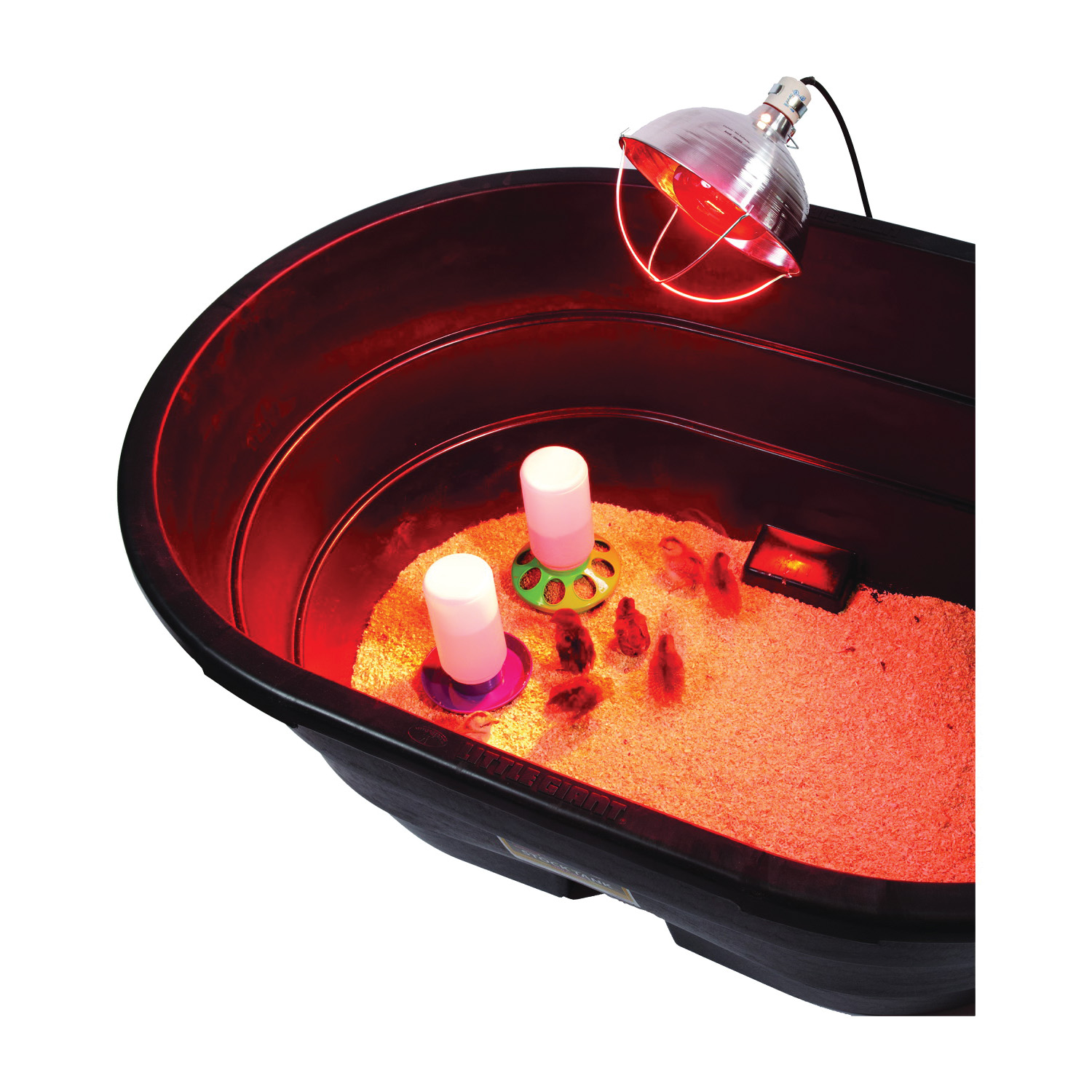 Little Giant 170017 Brooder Reflector Lamp, 300 W - 5