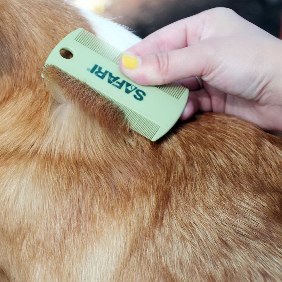 Safari W6170 NCL00 Flea Comb, Dog - 2