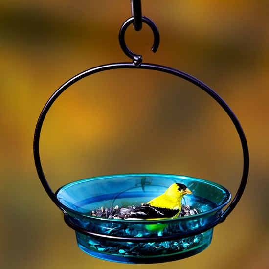 Couronne M337-200-09 Bird Bath, 20 oz Capacity, Aqua - 2