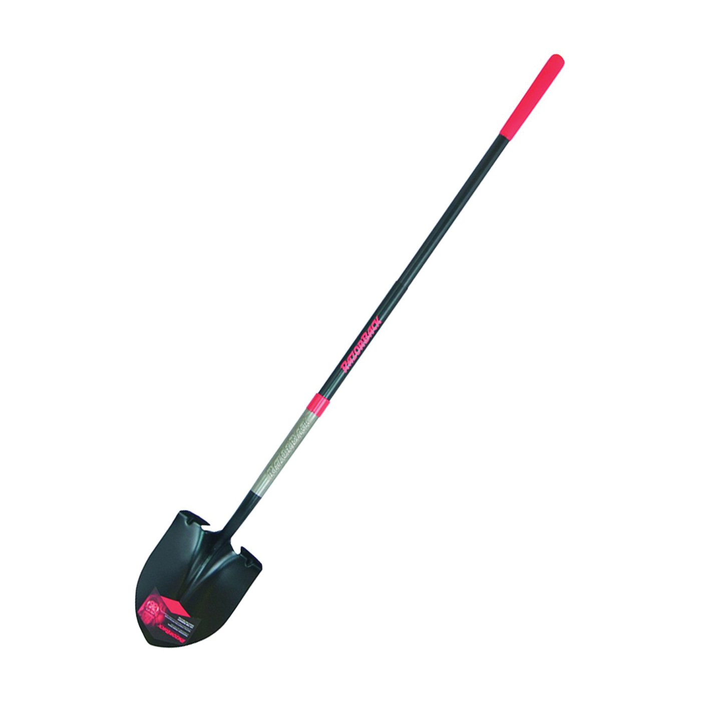 Razor-back 2594400