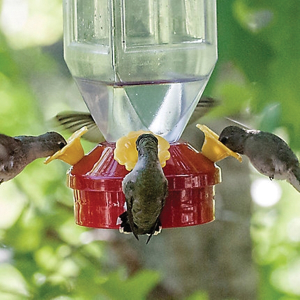 Perky-Pet 201 Bird Feeder, Lantern, 4-Port/Perch - 3