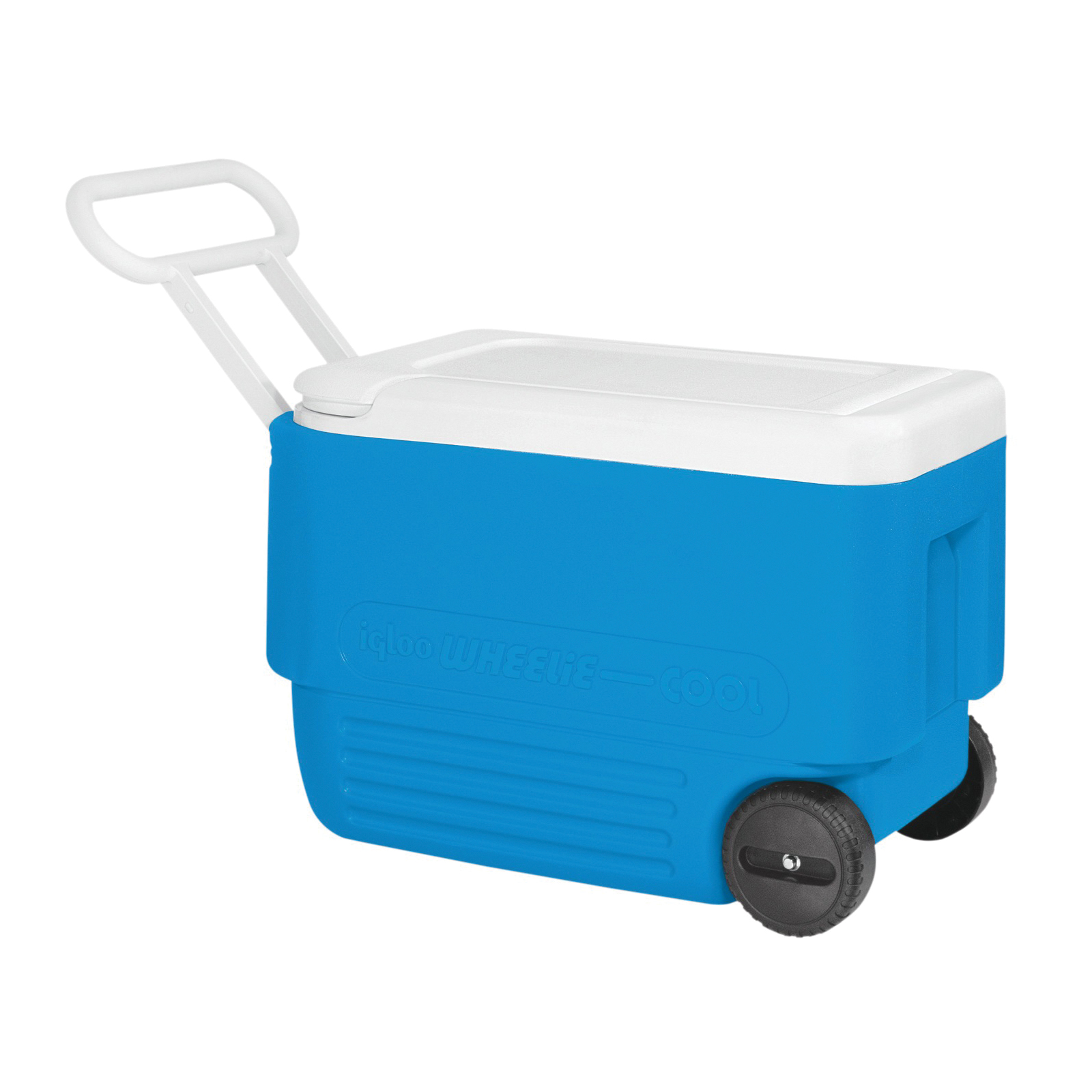 Igloo 34482