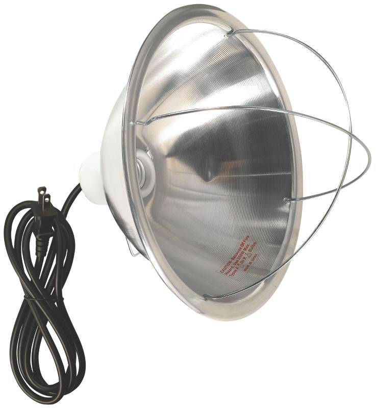 Ace 1CB-010-006FWH