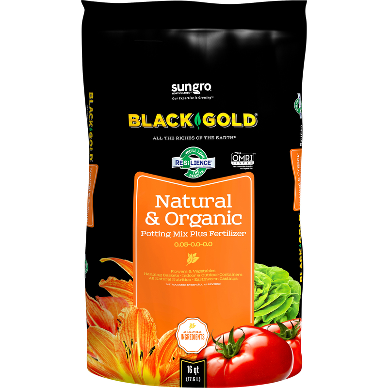 Black Gold 140204016QTP