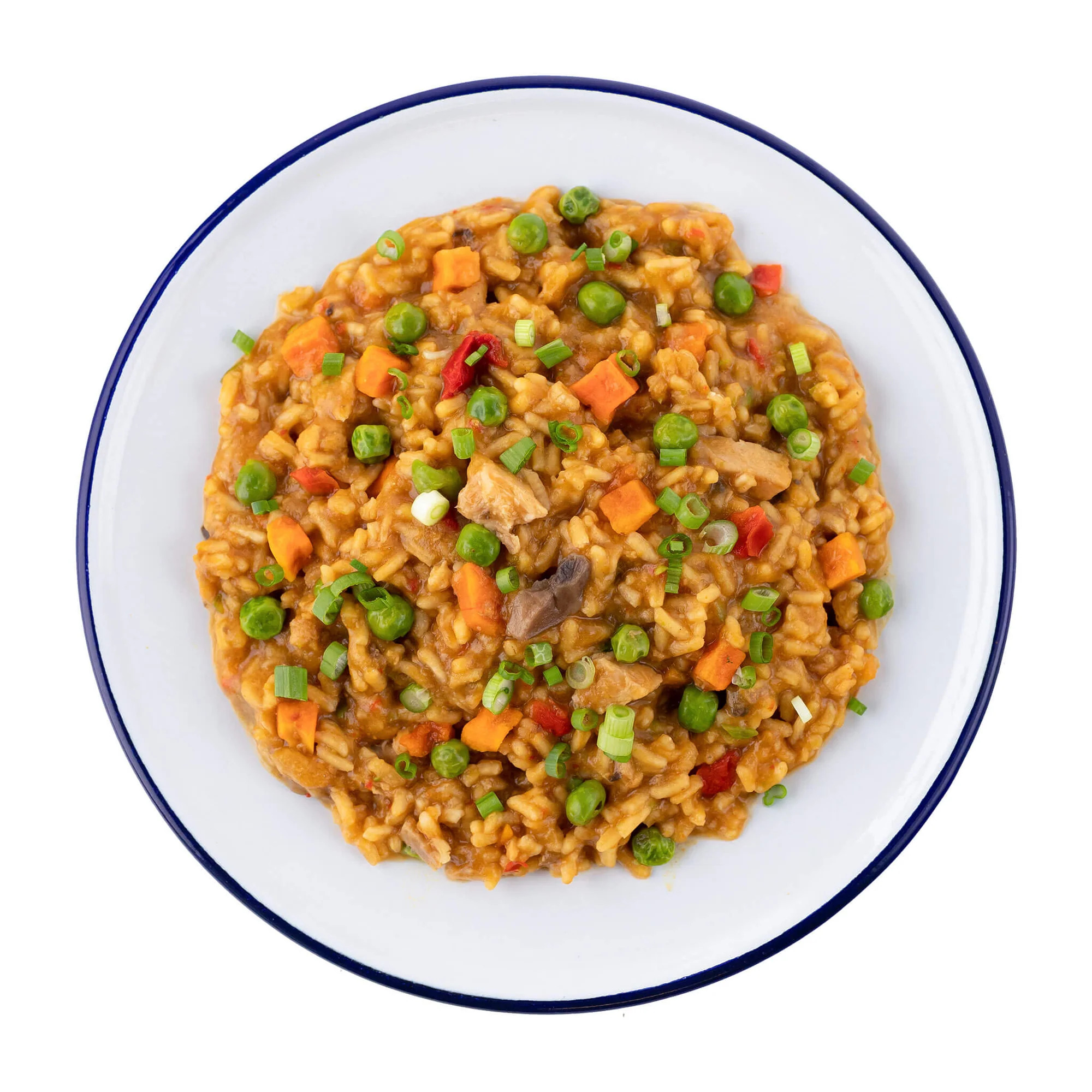 Mountain House 53124 Chicken Teriyaki with Rice, 4.2 oz - 2