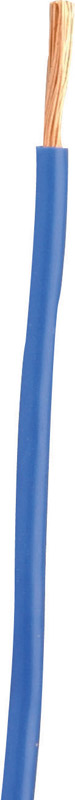 Cci 55667623